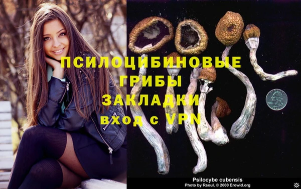МДМА Арсеньев