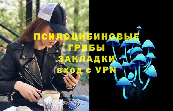 Альфа ПВП Аркадак