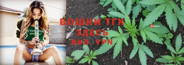 Альфа ПВП Аркадак